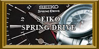 SEIKO SPRING DRIVE